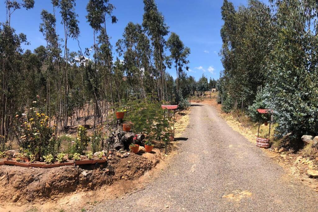 Cabana Buenavista Es Un Lugar Para Descansar. Иса Экстерьер фото